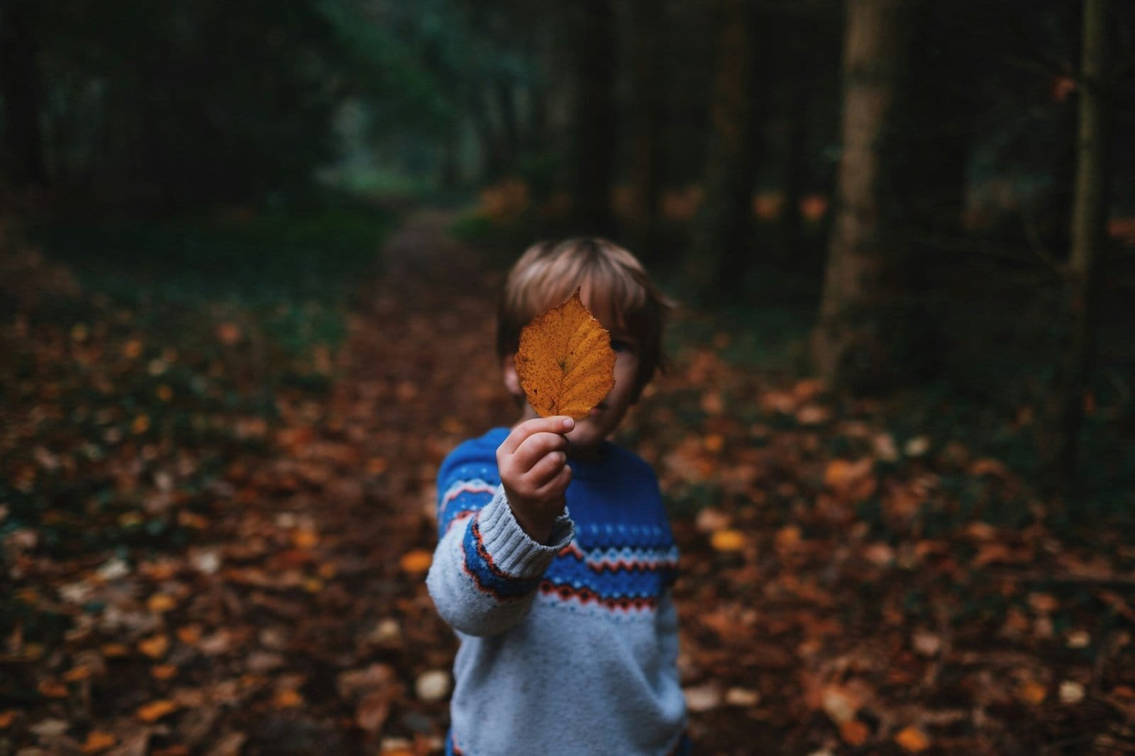 boy holding brown leaf covering his face to represent the inner child