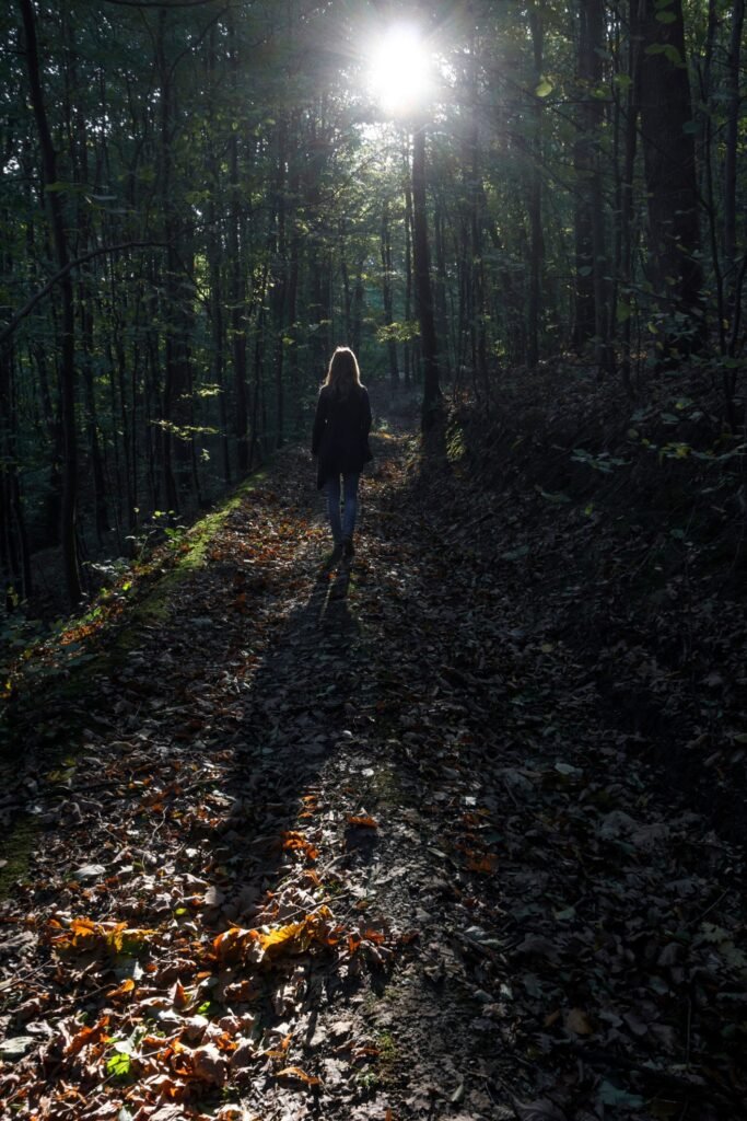 walk away from religious trauma. Girl walking through dark forest toward the Sun.